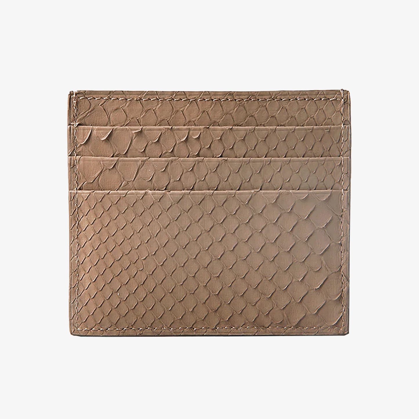 Earth Python Card Holder (1944PY)